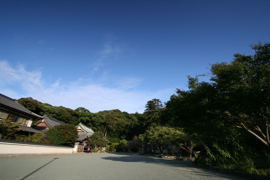 斜陽に浮かぶ杜