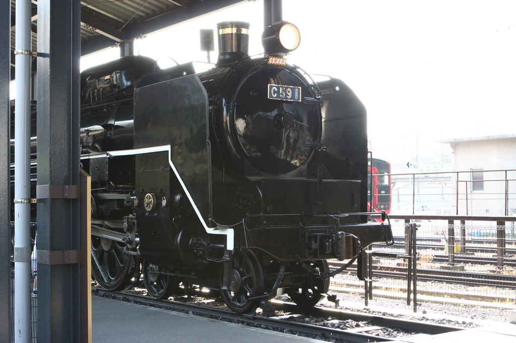 Ｃ５９１