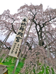 永遠のいのち