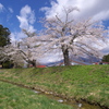 あいづの春２０１３　その２