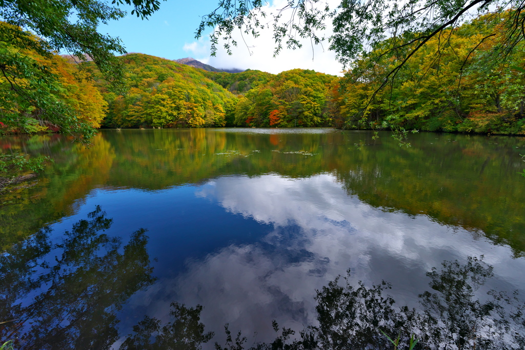 曲沢沼にて