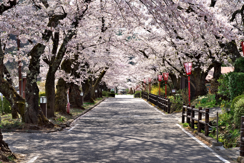 貴方と私の距離　V