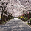 貴方と私の距離　V