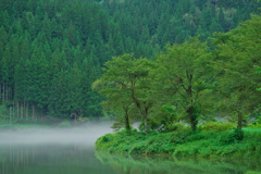 川霧の渓谷　その３