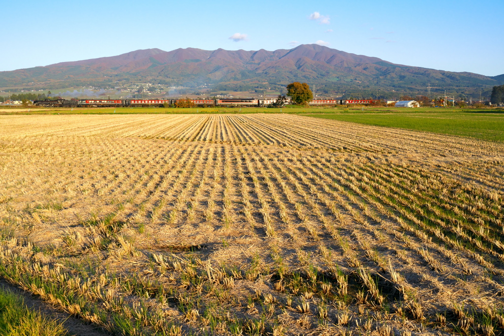田園　2019秋