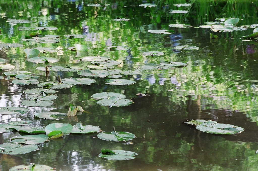 水面