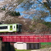No.1013