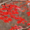 PA260440J01R