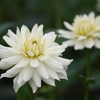 P9280067JR