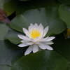 静寂