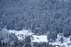 山里の風景　冬