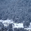 山里の風景　冬