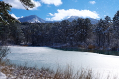 雪月風花