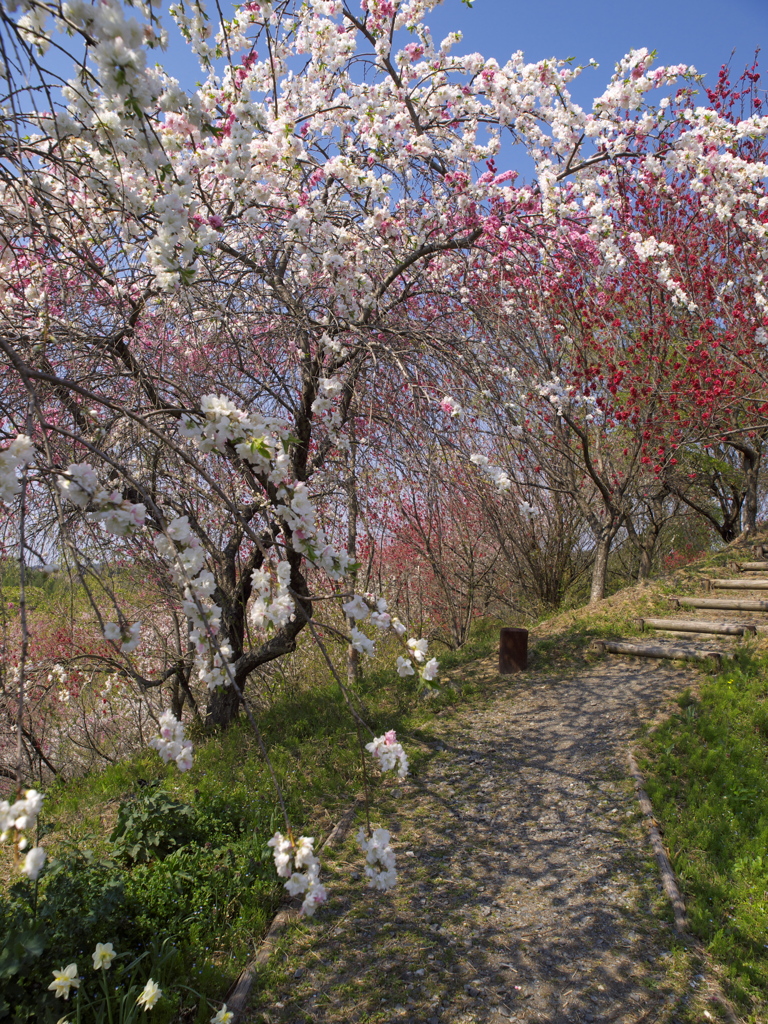 福島春景２０１３　その１