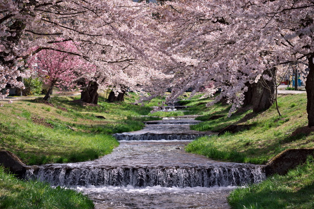 水ぬるむ春