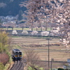 No.1157