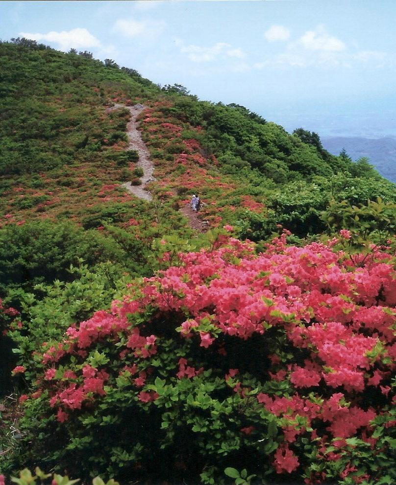 御霊びつ峠