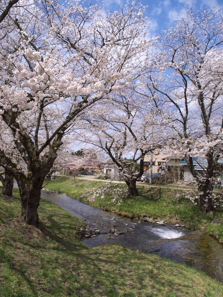 あいづの春２０１３