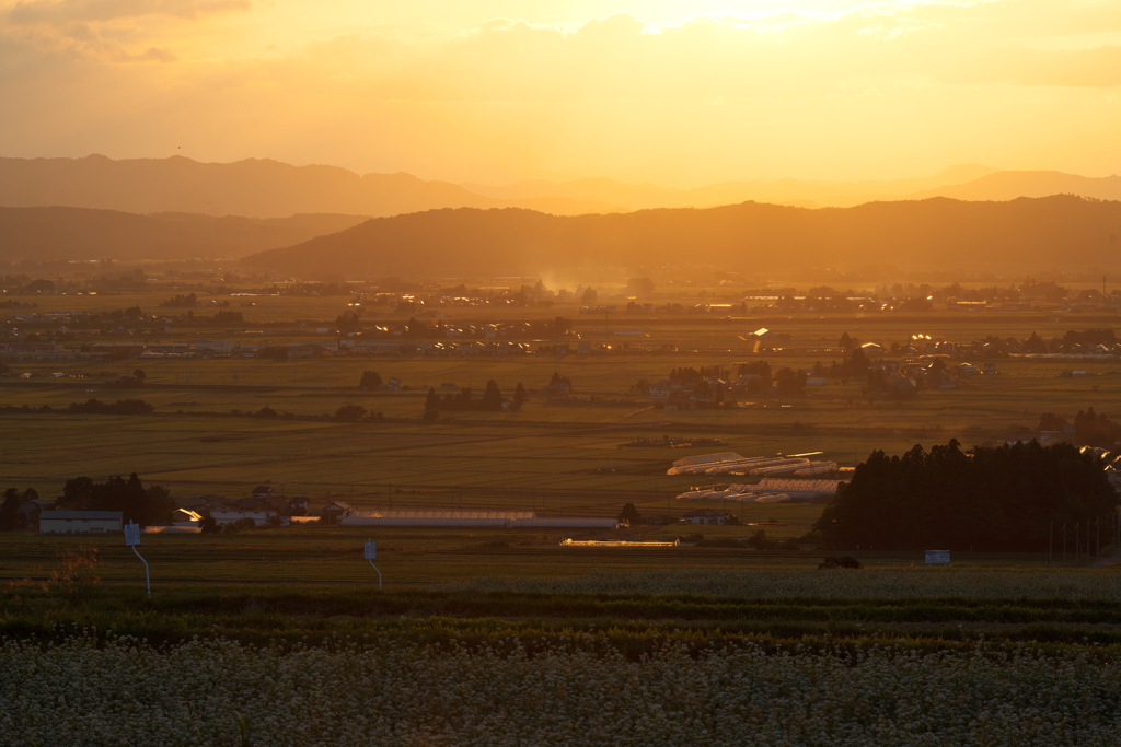 夕焼けこやけで