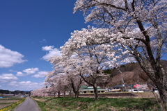 夏井駅にて　①