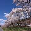 夏井駅にて　①