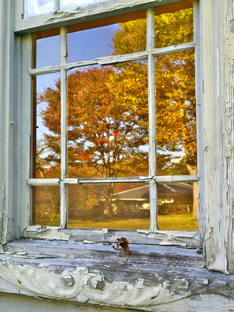 Window 2018 Fall ①