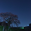 不動桜夜景