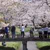 あいづの春２０１３　その３　撮影日和