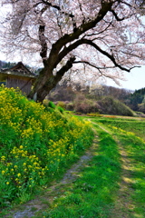 貴方と私の距離　I