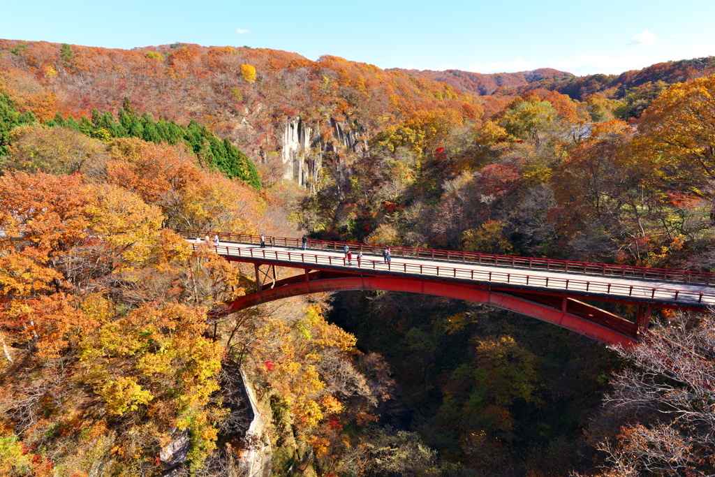 上空から紅葉観賞