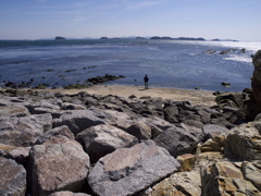 春の海