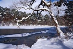 一陽来復