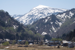 No.2019