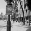 HONOLULU 2005 SUMMER　③