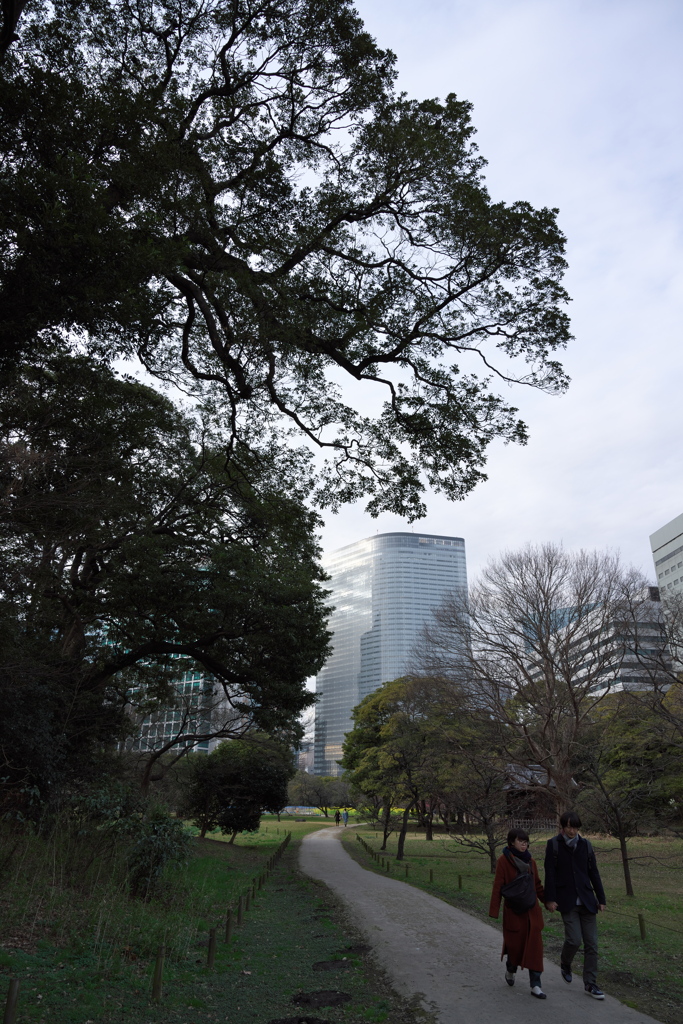 江戸庭園寸景　III