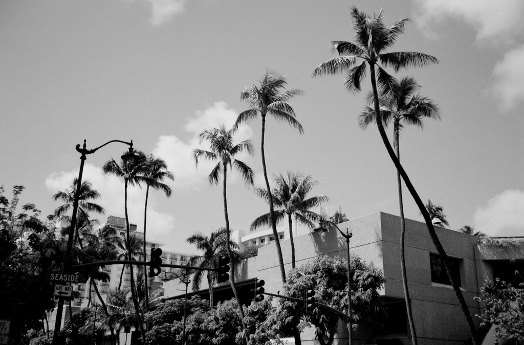 HONOLULU 2005 SUMMER　②