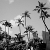 HONOLULU 2005 SUMMER　②