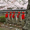 集う