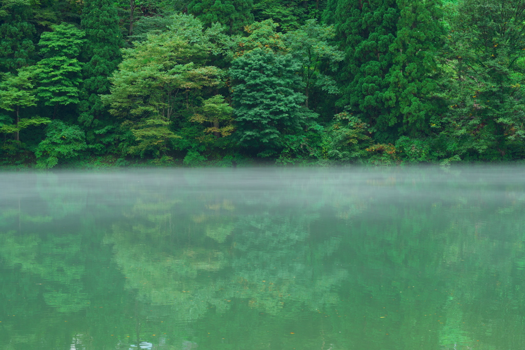 川霧の渓谷　その２