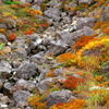 吾妻山錦秋2020　I