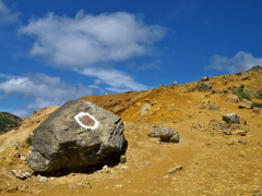 KIGOU