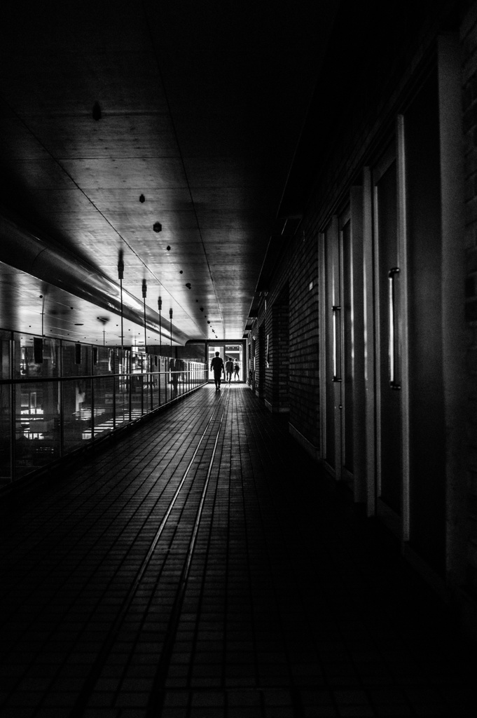 into the light