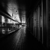 into the light