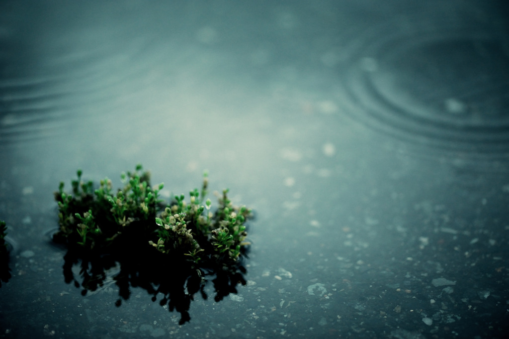 small island