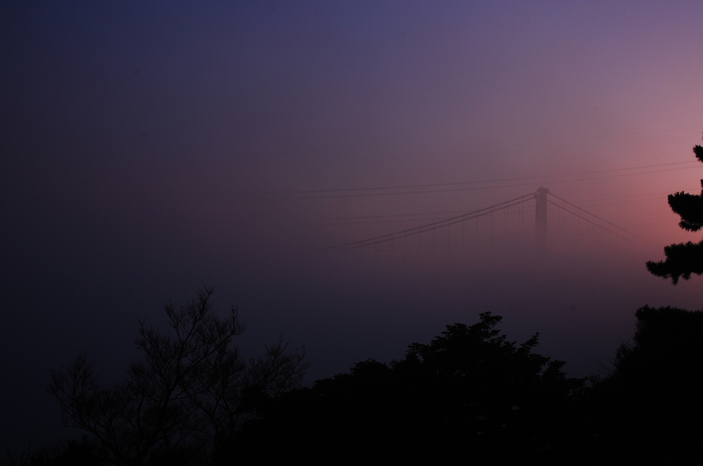 bridge in mist