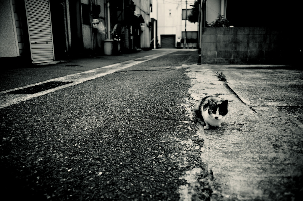 散歩道の肖像画