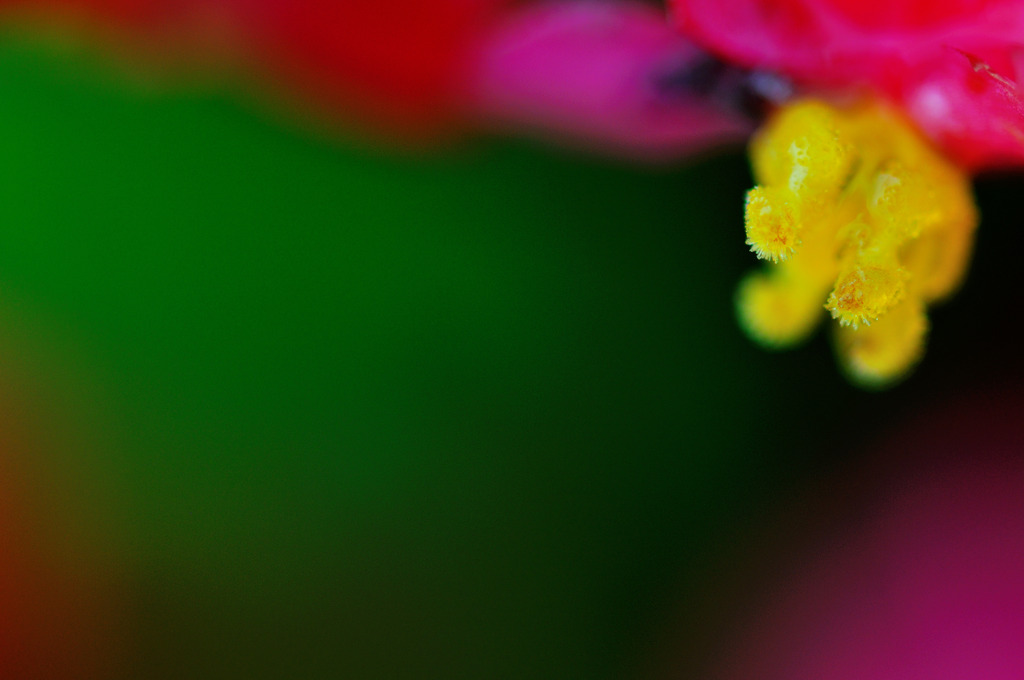 Micro waterdrops