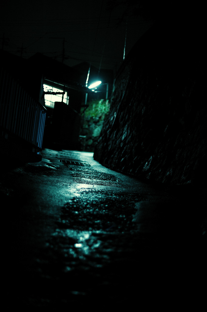 家路の光
