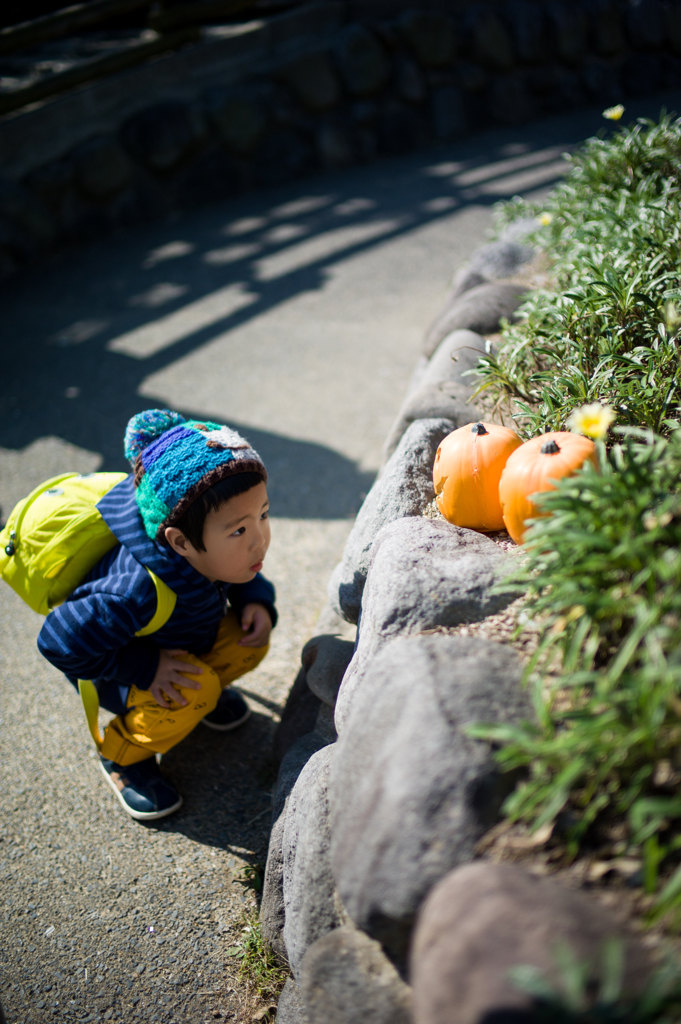 気になる存在