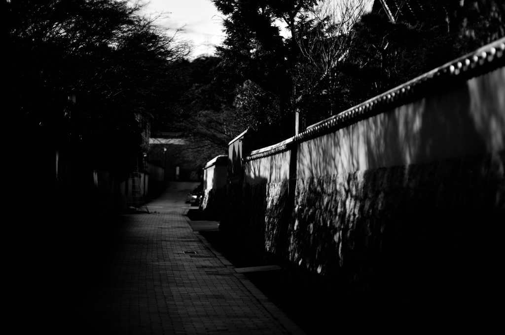 between lights and shadows